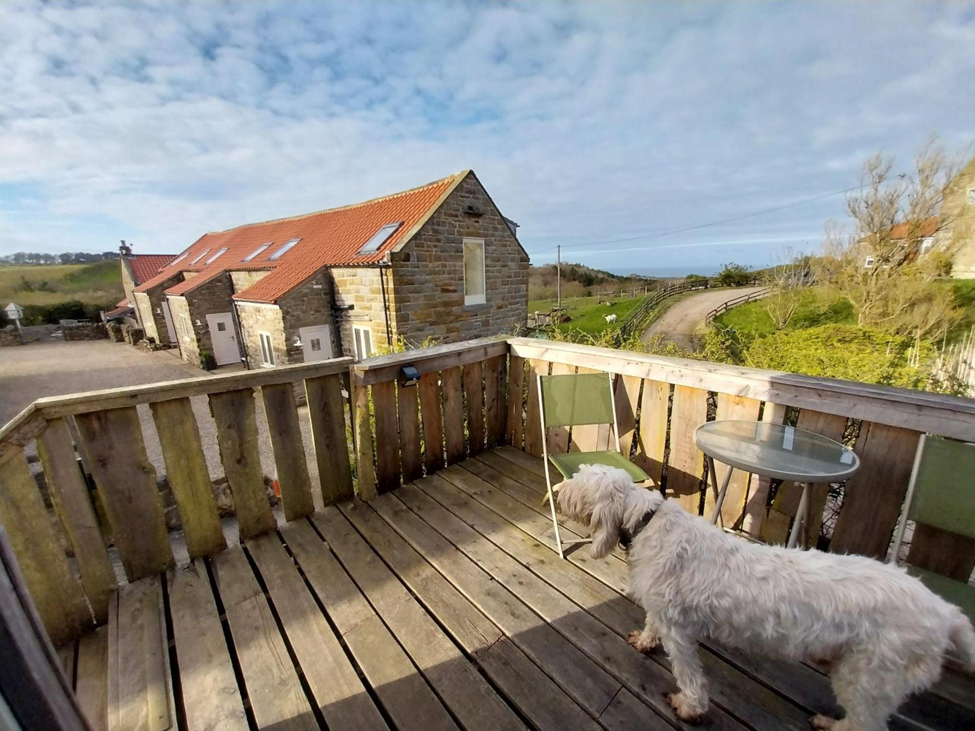 Meadowbeck - Shepherd Huts Fylingdales Exteriér fotografie